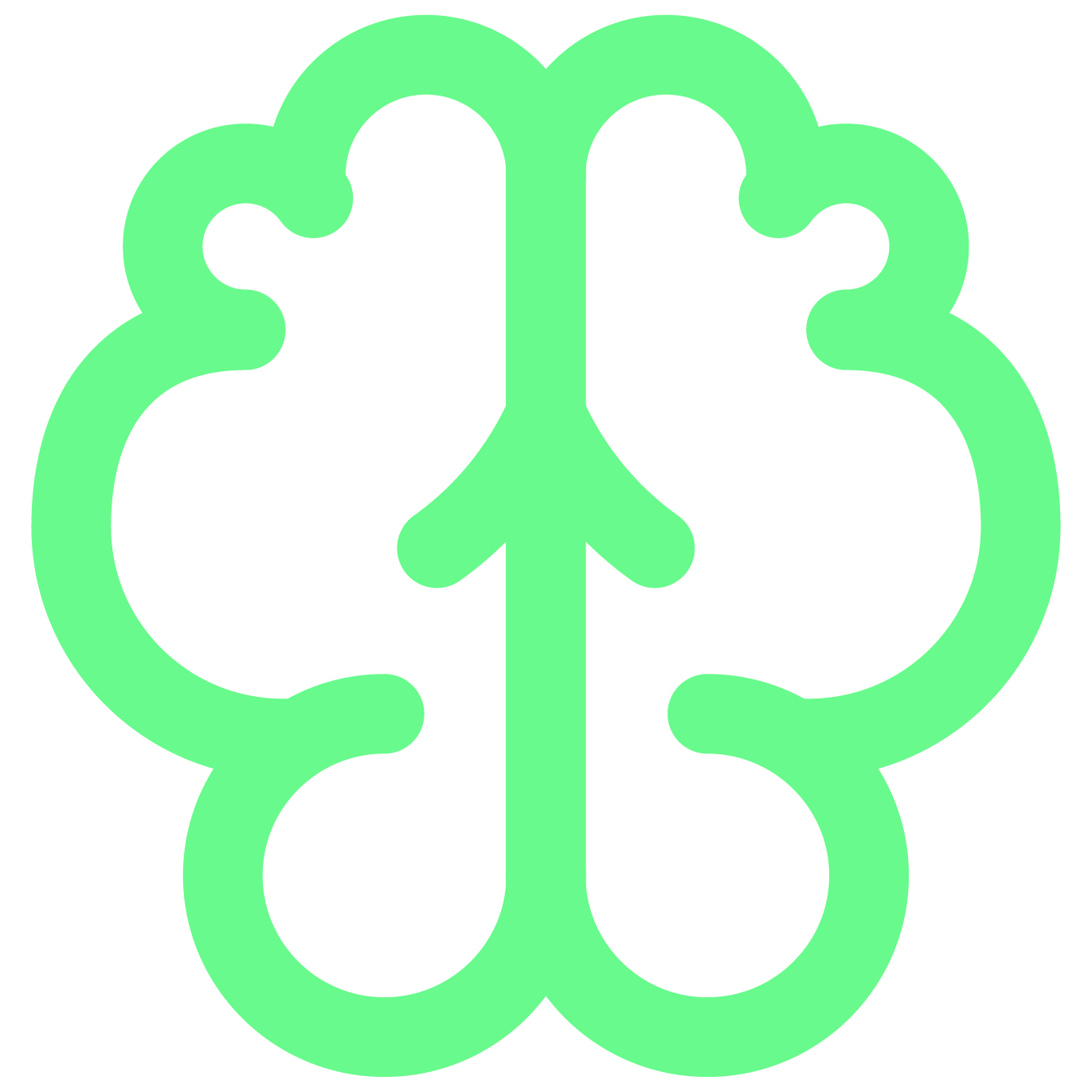brain